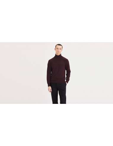 Men's Regular Fit Turtleneck Sweater prix