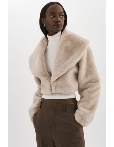 DANIKA | Faux Fur Crop Jacket meilleur choix