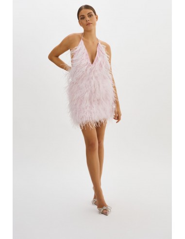 SOLVEIG | Feather Dress Livraison rapide